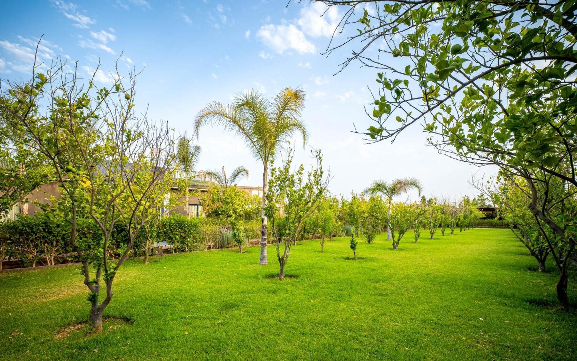 The Lemonary Marrakech Hotel Ouled Moumen Екстериор снимка