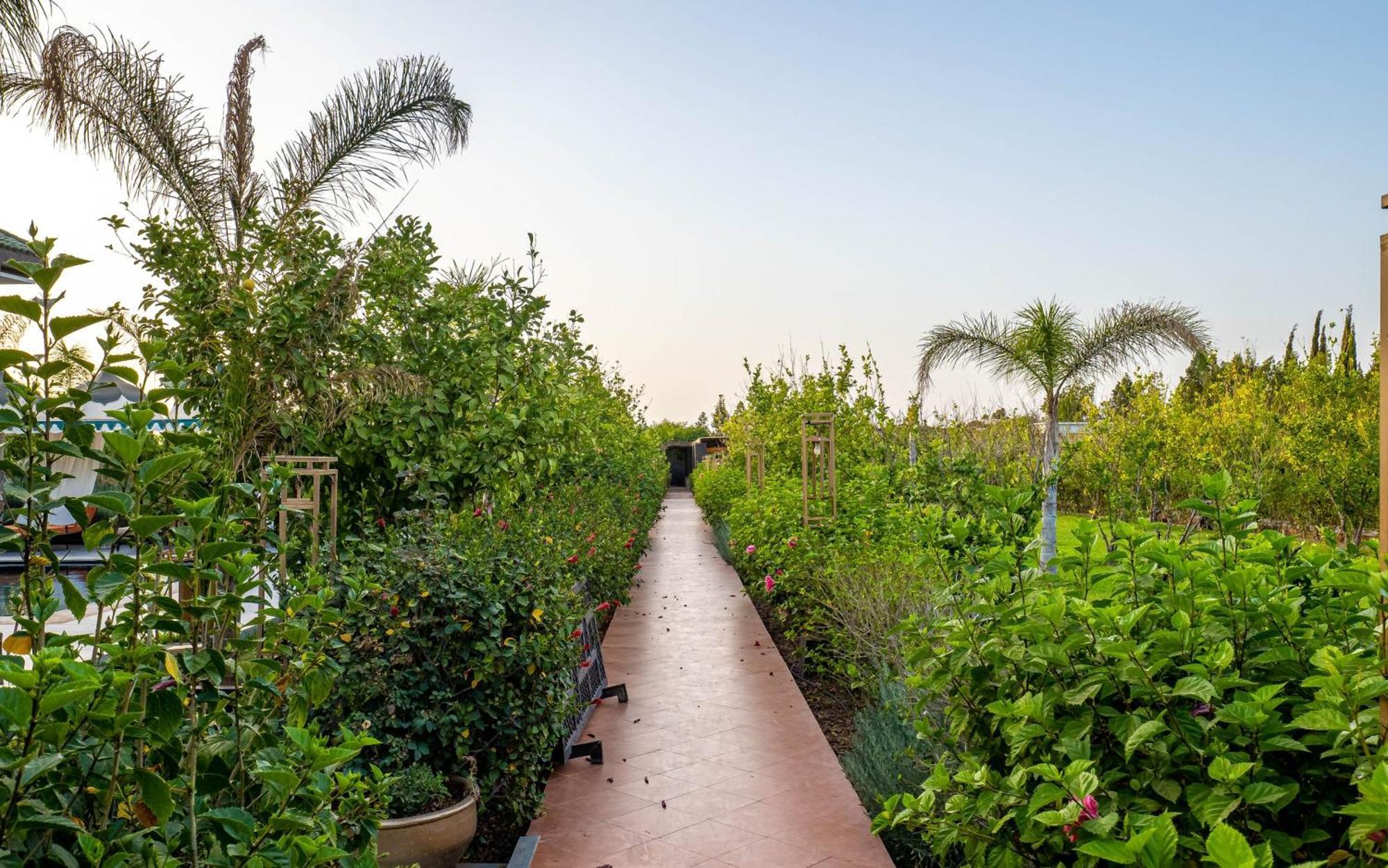 The Lemonary Marrakech Hotel Ouled Moumen Екстериор снимка